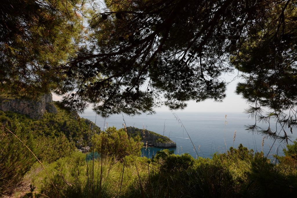 Villino Iolanda Villa Marina di Camerota Exterior foto