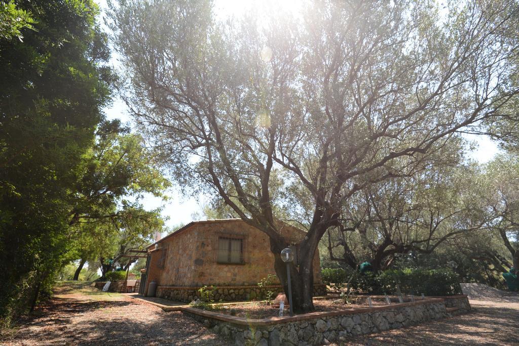 Villino Iolanda Villa Marina di Camerota Exterior foto